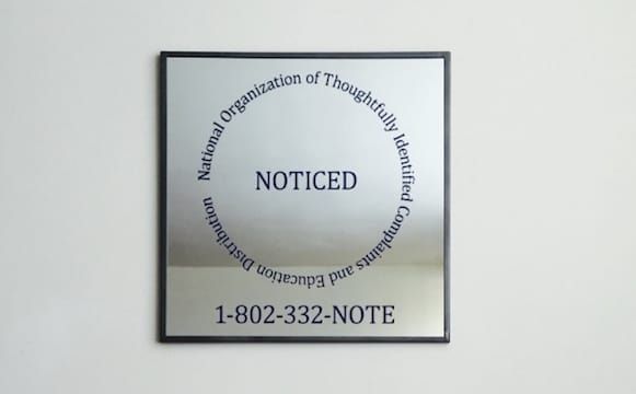 32 Artists Consider the Privileges and Burdens of American Citizenship