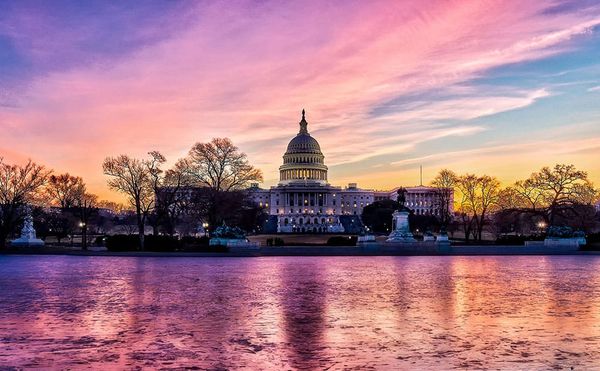 Submit Your Art to the Women's March on Washington