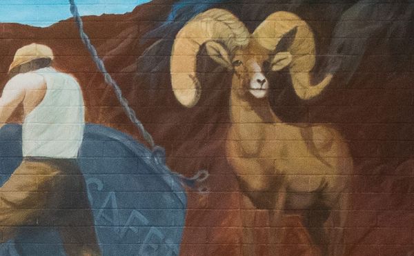 A mountain goat looks over a historical scene in a mural in Boulder, Colorado (photo by Jay Galvin/Flickr)