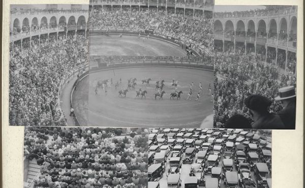 A Book and Exhibition Reveal Josef Albers's Rarely Seen Photocollages