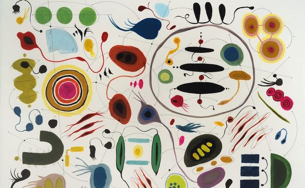 Abstracting the Data of the Natural World with Colorful Geometries