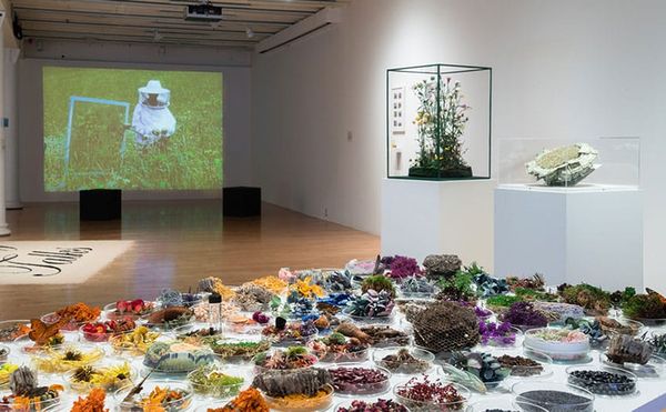 #HyperPicks: A Cabaret for the Bees