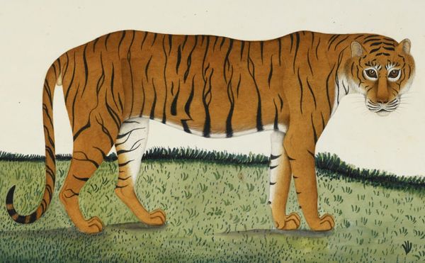 The Biodiversity of the World Captured in Five Centuries of Animal Art