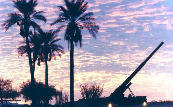 US Department of Defense Wants Biodegradable Bullets Made of Seeds