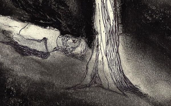 The Border Runs Through the Middle of the Tree