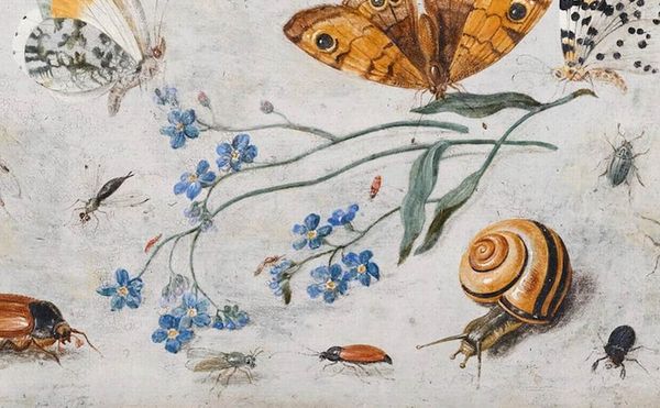 Weekend Words: Amnesia