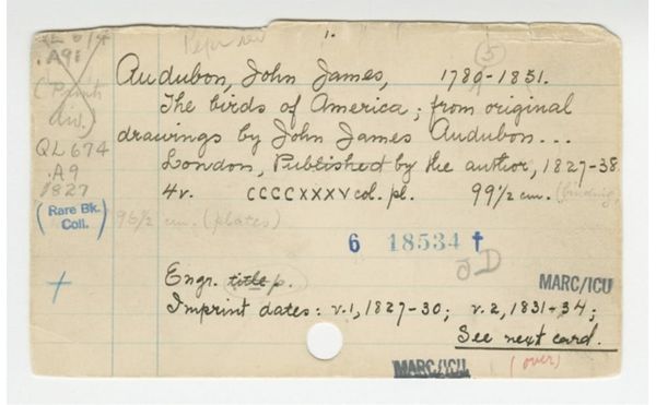 The Lost Art of Library Card Catalogues