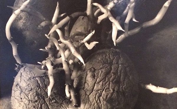 Agnès Varda’s Playful Recycling of Her Art