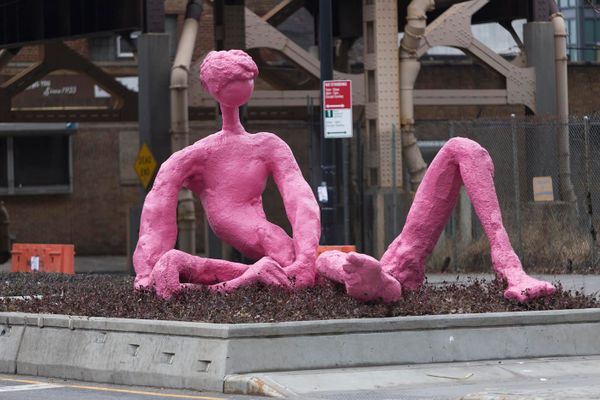 The Trials of a Hot-Pink Sunbather