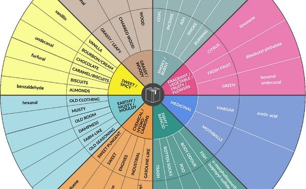 Matching the Smells of Musty Manuscripts with Chemical Compounds