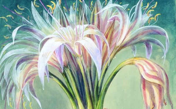 A Book Gathers Botanical Sketches from Across the Centuries