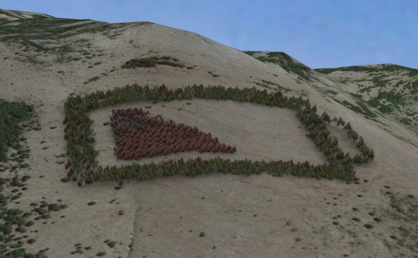 An Attempt to Create Europe's Largest Environmental Art Project with 5,000 Trees