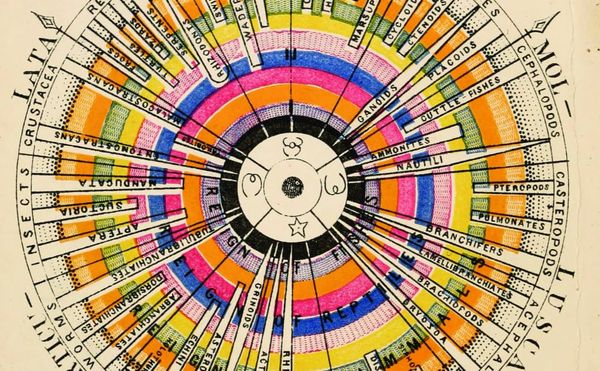 Celestial Spheres, Smog Charts, and Radial Cartography in a New Book About Circles