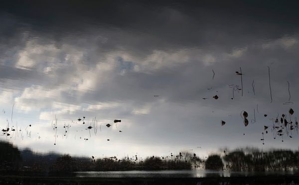 Photographs that Suspend Us Between Sky and Water