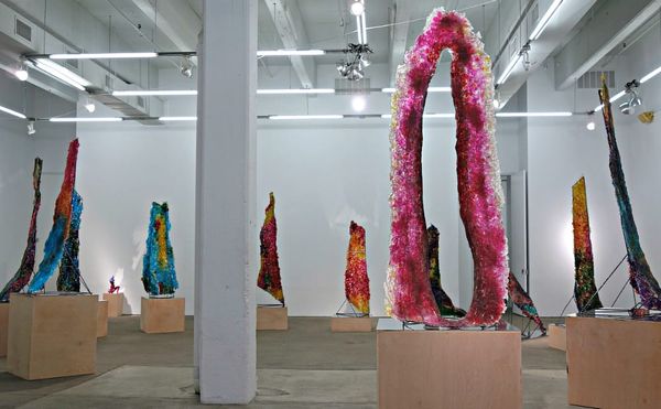 Casting New York City's Oldest Tree in Luminous Glass