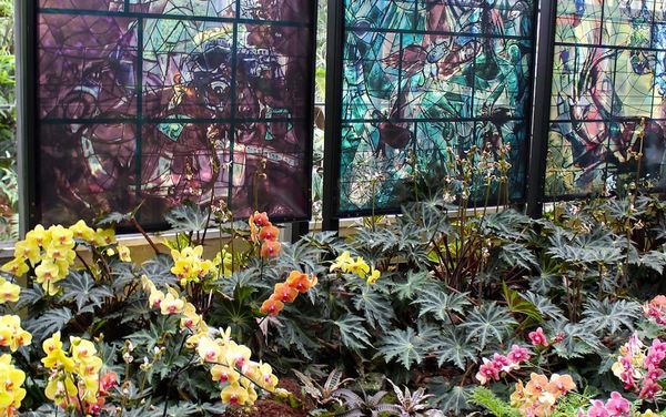 A Botanical Garden Blooms with Chagall