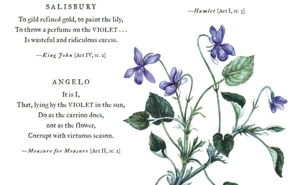 A Compendium of Shakespeare’s Plants, from Juliet’s Rose to Ophelia’s Bouquet