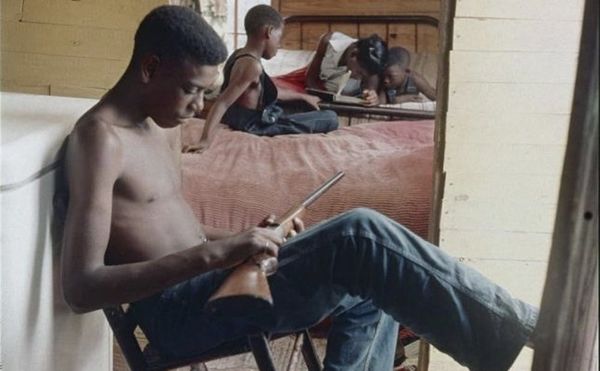 A View into the Living Room of America