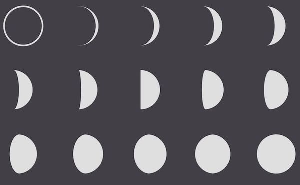 Staying Up with Suzanne Buffam’s A Pillow Book