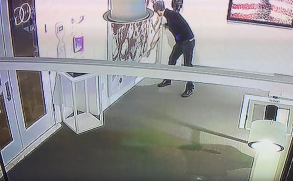 Suspicious Sunglasses-Wearing Saboteur Slashes Christopher Wool Canvas