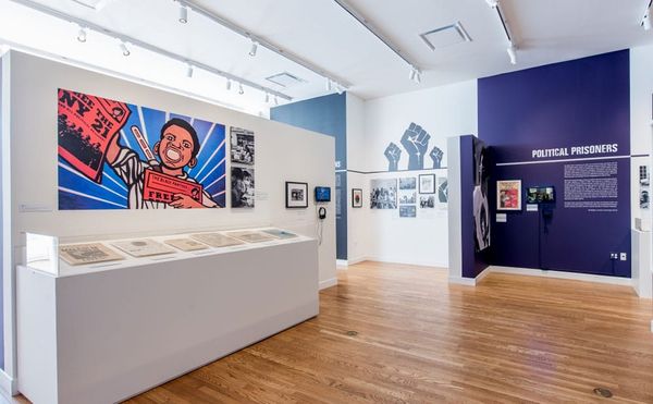 Tracing the Lasting Influence of Black Power