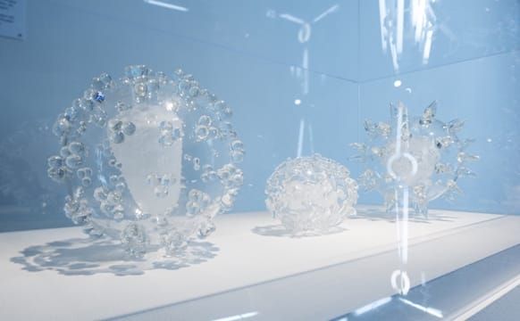 Florida’s Love for Shiny Glass Art Takes a Surprisingly Political Turn