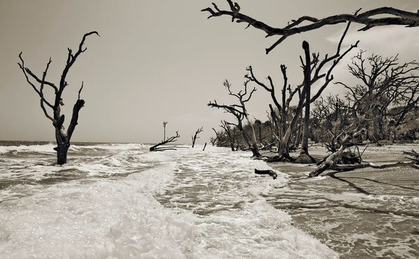 Photographs of North America’s East Coast Capture Its Fragile Ecosystems