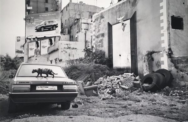 Photos of the Capitalistic Imagery that Overwhelms Beirut’s Landscape