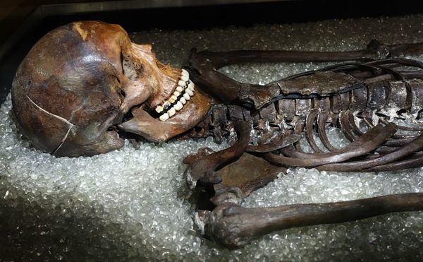 How a Smithsonian Naturalist’s Skeleton Ended Up on View at the Museum