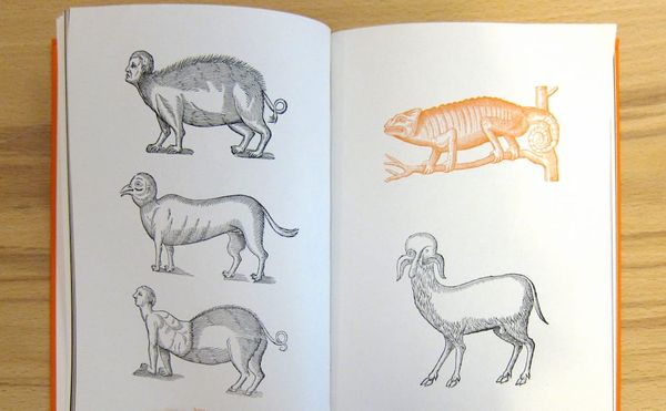 A Book Highlights the Oddities of the Woodcut World