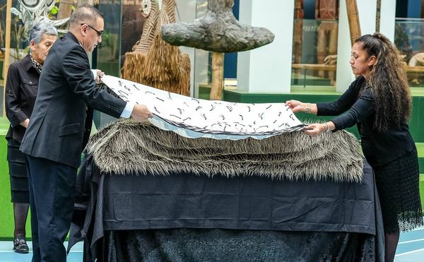 Dozens of Māori and Moriori Remains Return to New Zealand from European Museums
