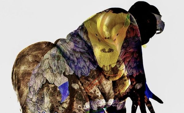 The Body as a Field for Graphic Experiments