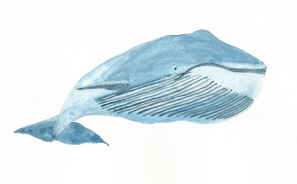 Two Poems by Ana Martins Marques