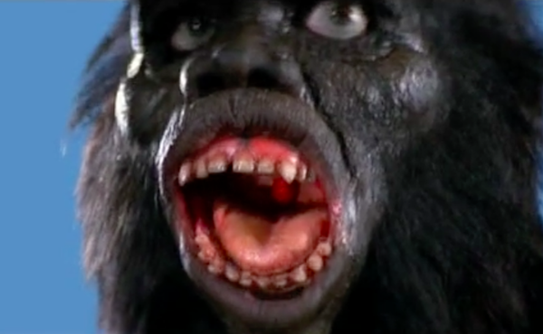 Monkey Around with a Simian Cinema Series