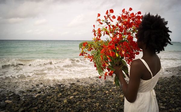 The Contested Histories of Water