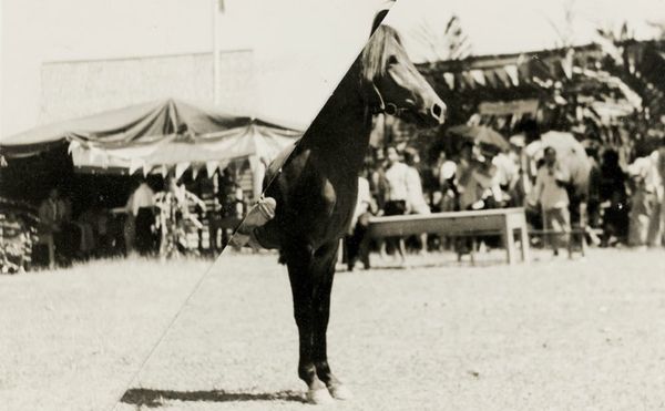 A Photographer Remixes Her Family Photos into Cryptic New Moments