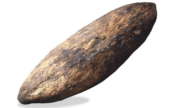 Why an Indigenous Australian Wants the British Museum to Return His Ancestor’s Shield