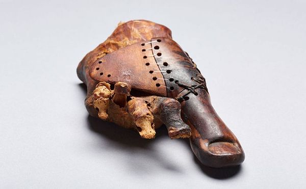 The Sophisticated Design of a 3,000-Year-Old Wooden Toe