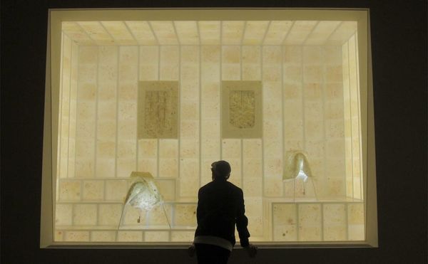 A Display of Sweat, Ants, and Bacteria at the Guggenheim