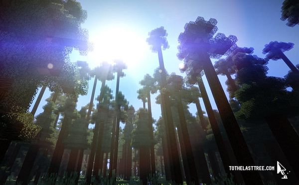 Minecraft Mapping One of Europe’s Last Primeval Forests