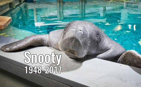 Florida Man Calls for Replacing Confederate Monument with Manatee Memorial