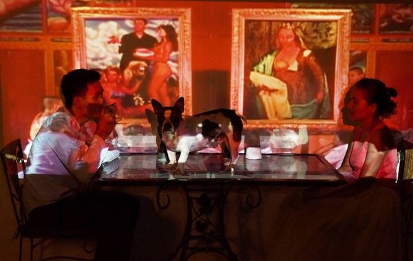 Carnal Humans and Bookish Animals Cohabitate in a Sprawling Video Installation