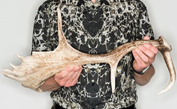 Visitors Were Invited to Curate a Museum of Modern Nature and Here’s What Sprouted