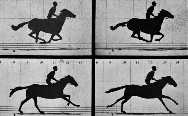 Scientists Encode Living DNA with Muybridge’s Galloping Horse Film