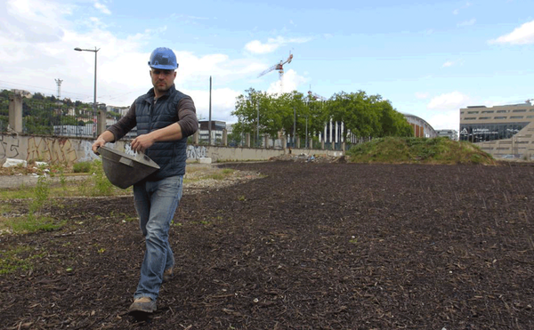Police Destroy Art Installation, Mistaking It for Cannabis Farm