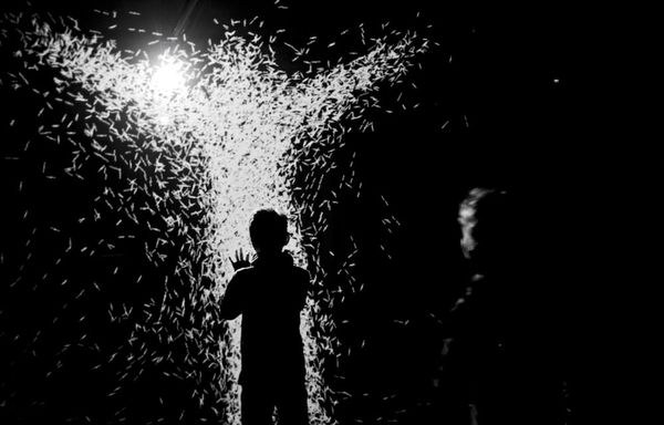 Algorithmic Art That You Can Blow On, Walk Through, or Dance Over