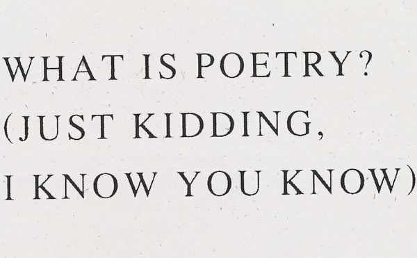 A Collection of Poetry Interviews Is a Work of Poetry Itself