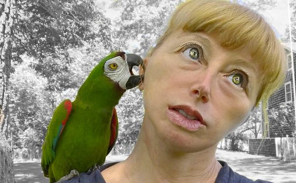 Why I "Like" but Don't Love Cindy Sherman's Instagram Photos