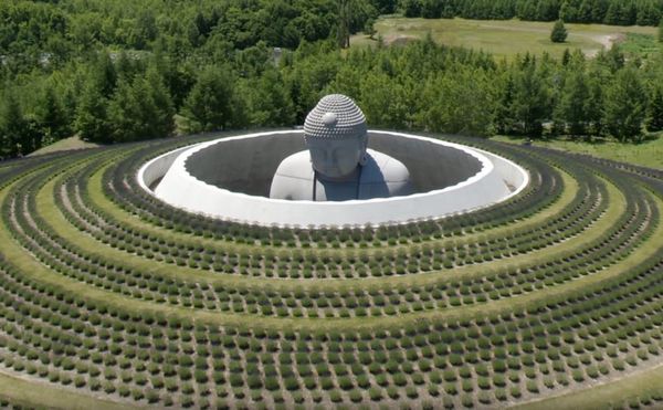 Om-believable Buddha in Rings of Lavender