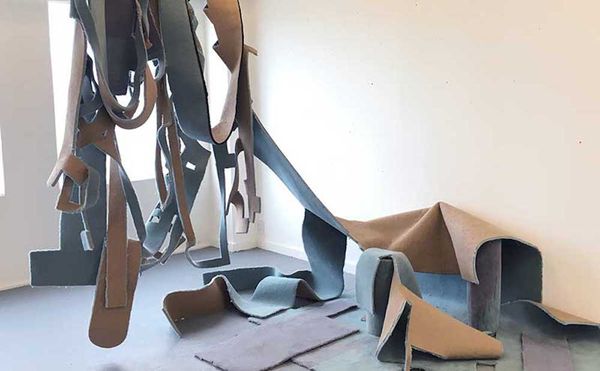 Cut-Up Carpet Wins New Zealand Drawing Prize